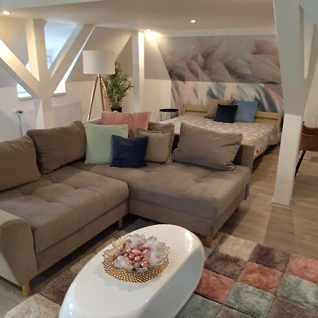 Valentin Apartman Makó エクステリア 写真