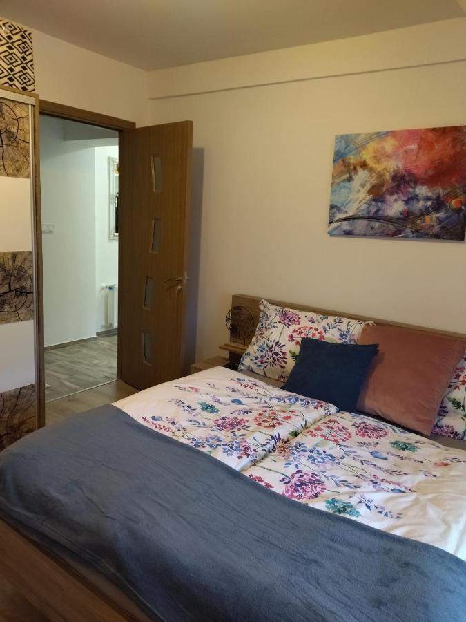 Valentin Apartman Makó エクステリア 写真